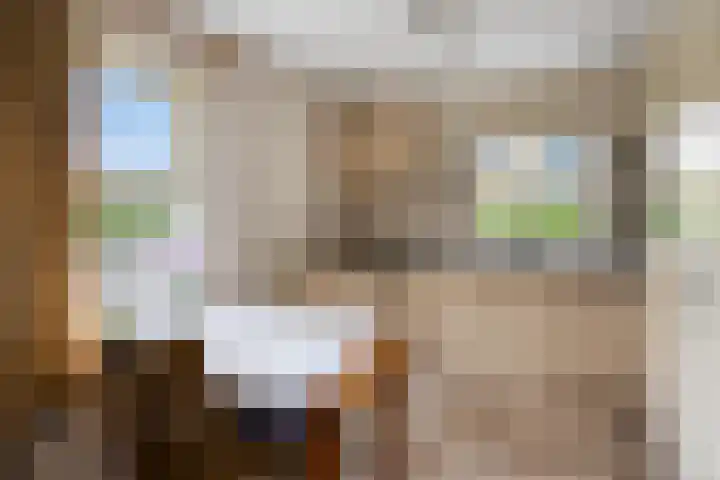 Wendakker 20 Nagele thumbnail 16