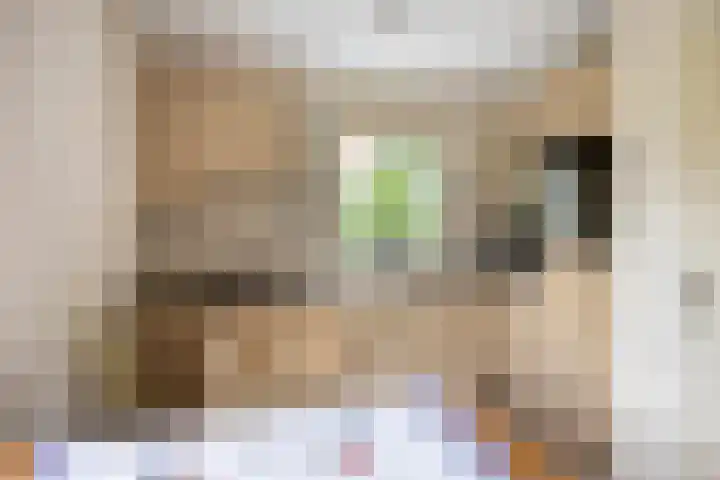 Wendakker 20 Nagele thumbnail 17