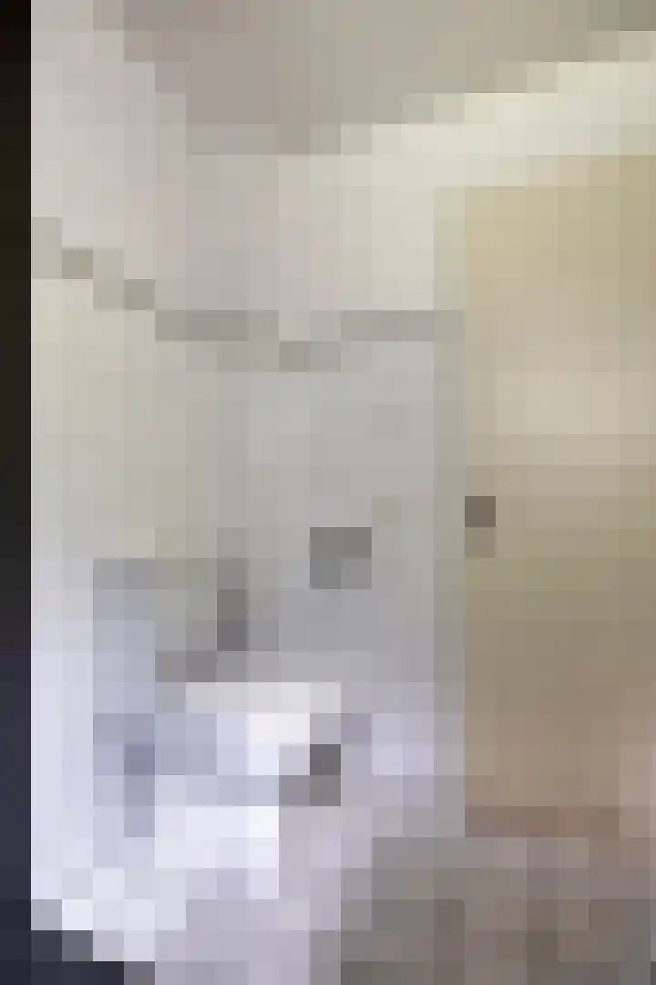 Wendakker 20 Nagele thumbnail 22