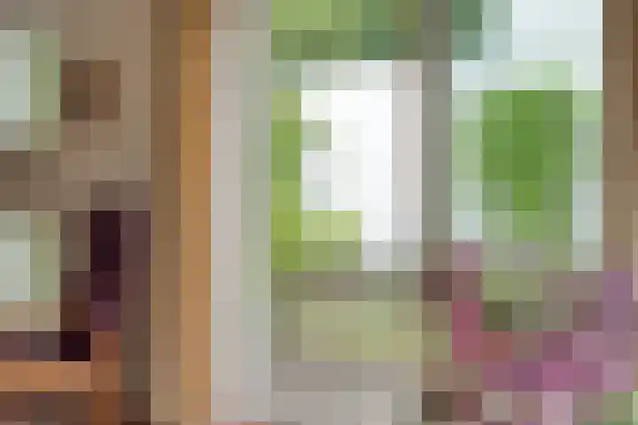 Wendakker 20 Nagele thumbnail 25