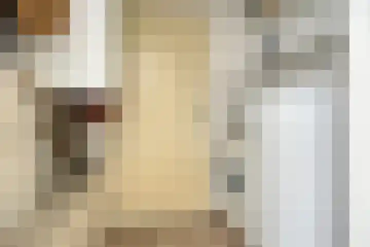 Wendakker 20 Nagele thumbnail 26