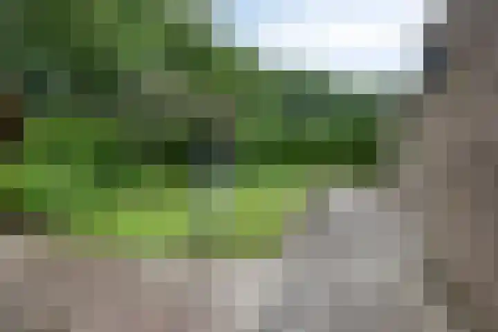 Wendakker 20 Nagele thumbnail 28