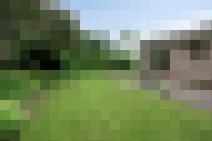 Wendakker 20 Nagele thumbnail 29