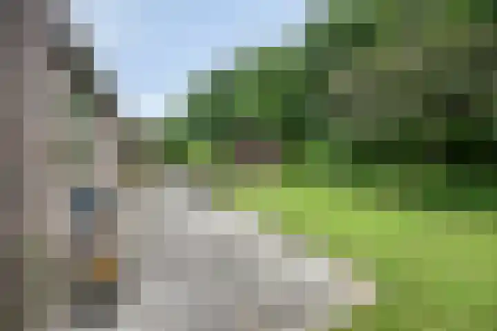 Wendakker 20 Nagele thumbnail 30