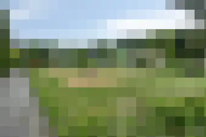 Wendakker 20 Nagele thumbnail 33