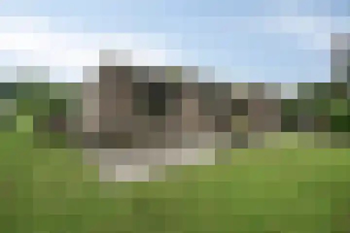 Wendakker 20 Nagele thumbnail 5