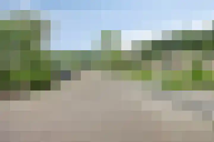 Wendakker 20 Nagele thumbnail 6