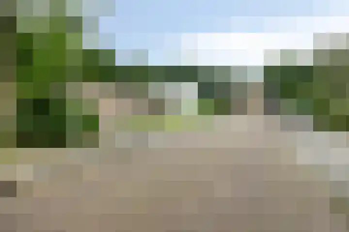 Wendakker 20 Nagele thumbnail 7