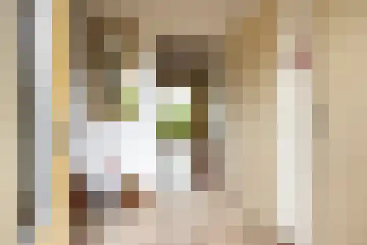 Wendakker 20 Nagele thumbnail 9