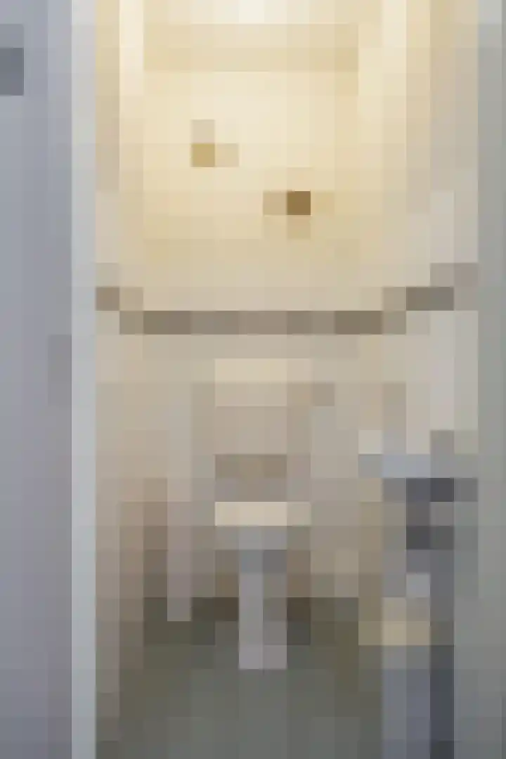 Wendakker 33 Siddeburen thumbnail 11