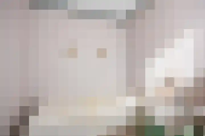 Wendakker 33 Siddeburen thumbnail 12