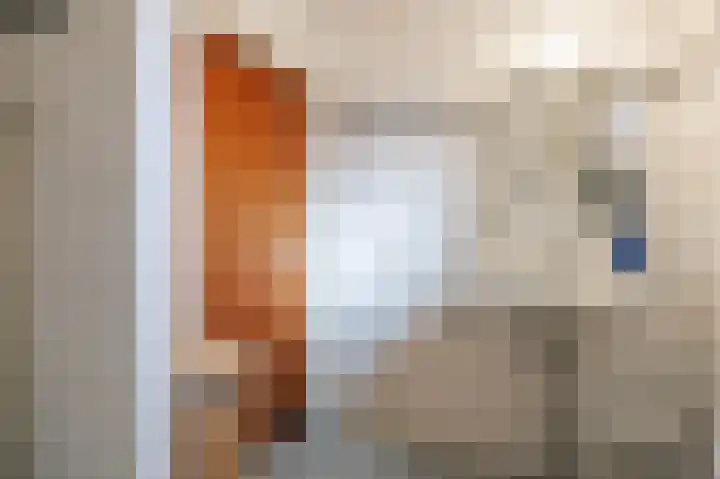 Wendakker 33 Siddeburen thumbnail 16