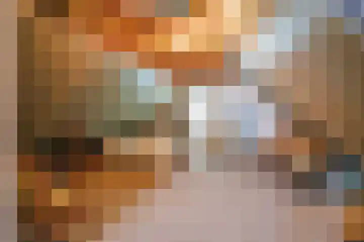 Wendakker 33 Siddeburen thumbnail 29
