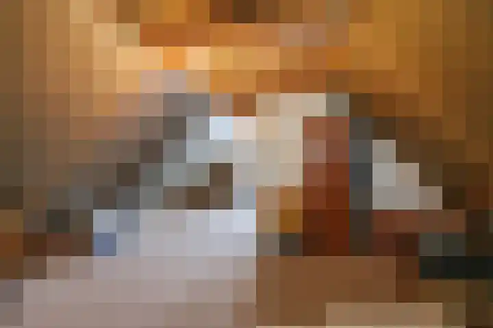 Wendakker 33 Siddeburen thumbnail 30