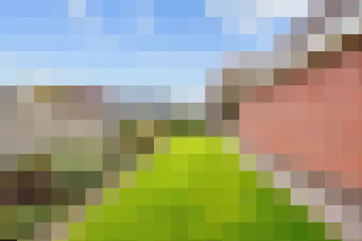 Wendakker 33 Siddeburen thumbnail 34