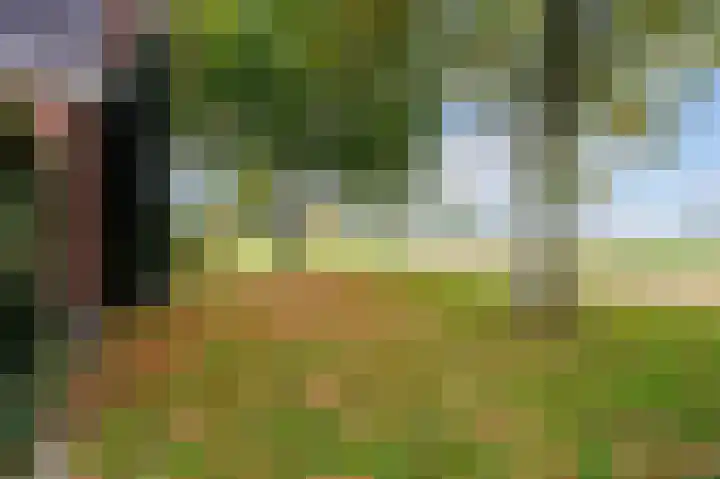 Wendakker 33 Siddeburen thumbnail 36