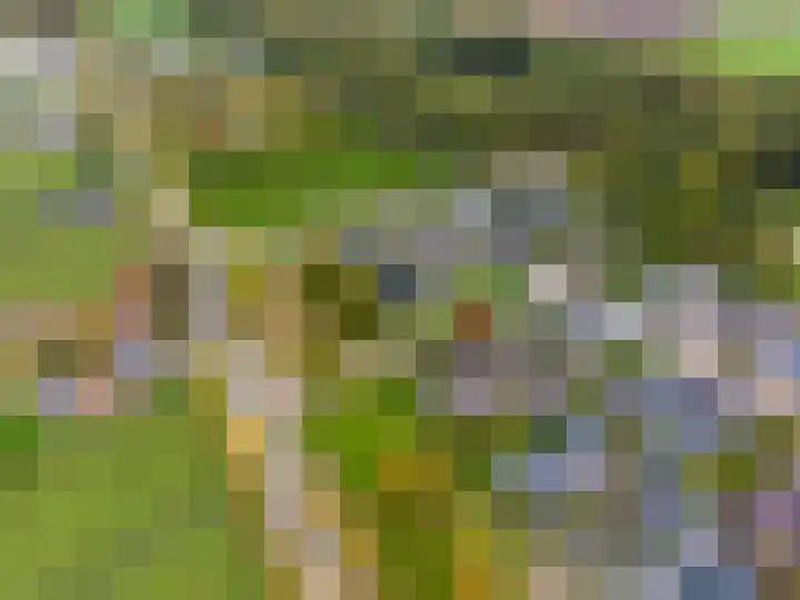 Wendakker 33 Siddeburen thumbnail 38