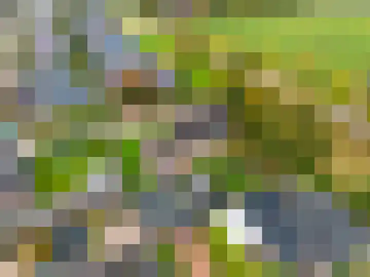 Wendakker 33 Siddeburen thumbnail 39