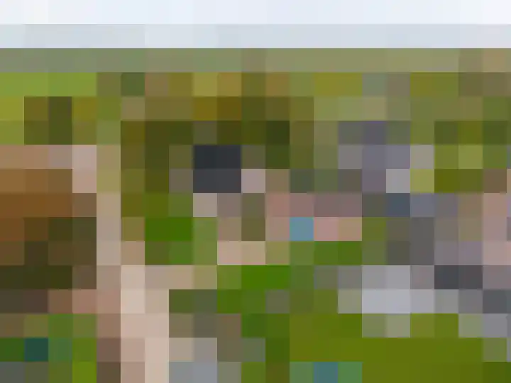 Wendakker 33 Siddeburen thumbnail 40