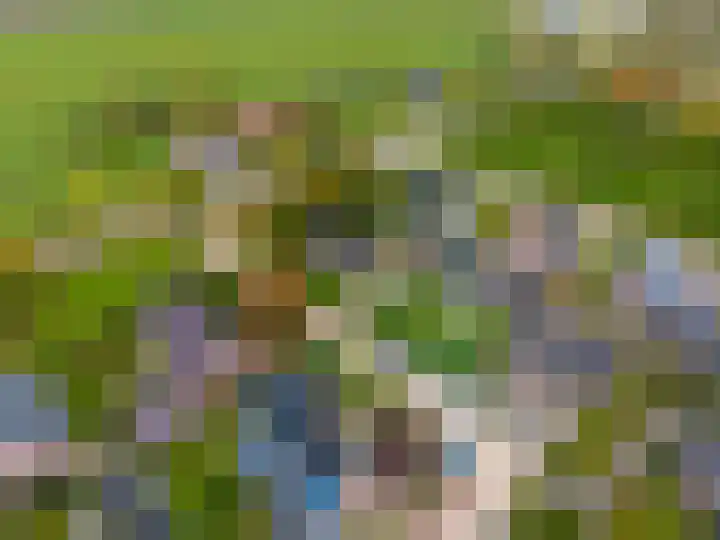 Wendakker 33 Siddeburen thumbnail 41