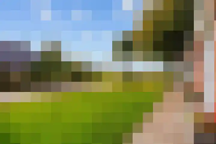 Wendakker 33 Siddeburen thumbnail 5