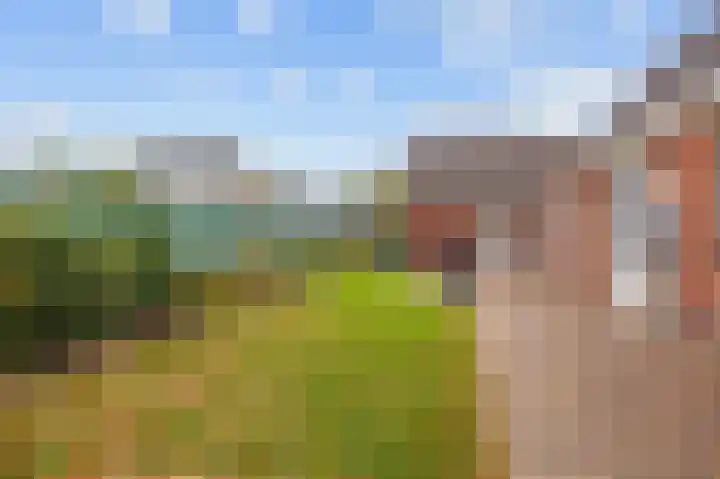 Wendakker 33 Siddeburen thumbnail 8