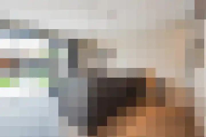 Wendakker 39 Heerde thumbnail 11