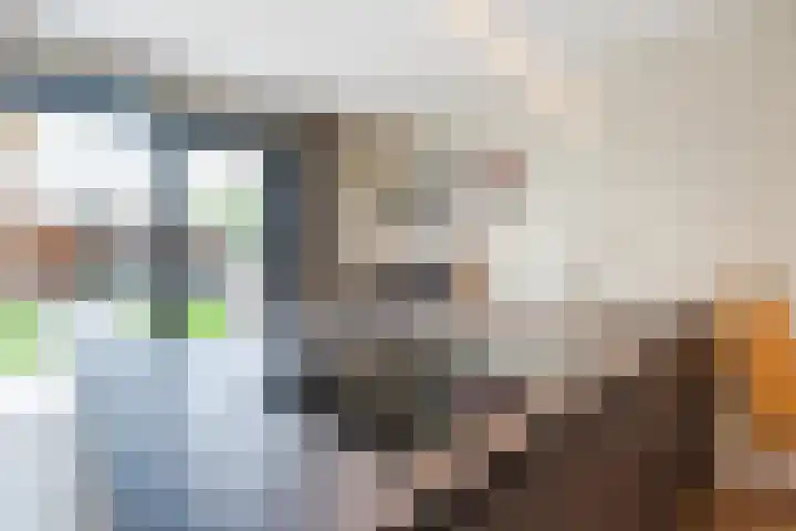 Wendakker 39 Heerde thumbnail 14