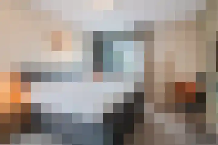 Wendakker 39 Heerde thumbnail 17