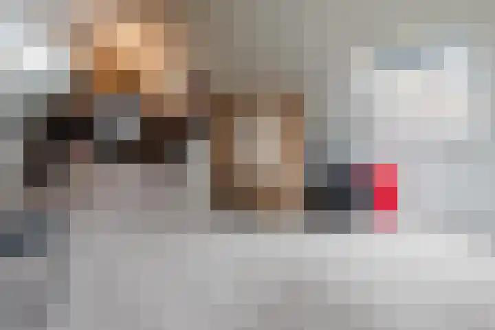 Wendakker 39 Heerde thumbnail 27