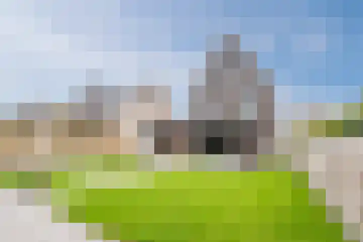Wendakker 39 Heerde thumbnail 28