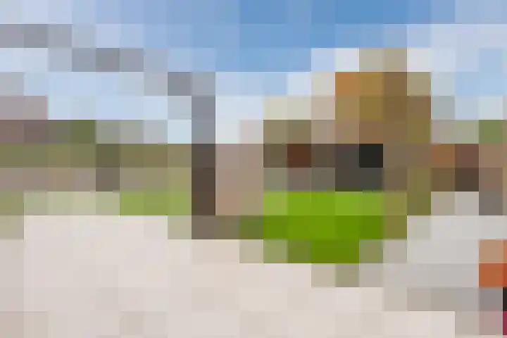 Wendakker 39 Heerde thumbnail 30
