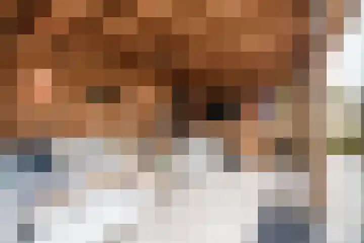 Wendakker 39 Heerde thumbnail 35