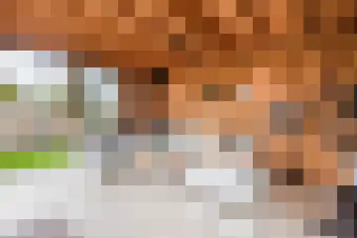 Wendakker 39 Heerde thumbnail 36