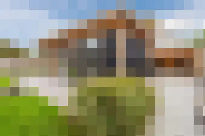 Wendakker 39 Heerde thumbnail 37
