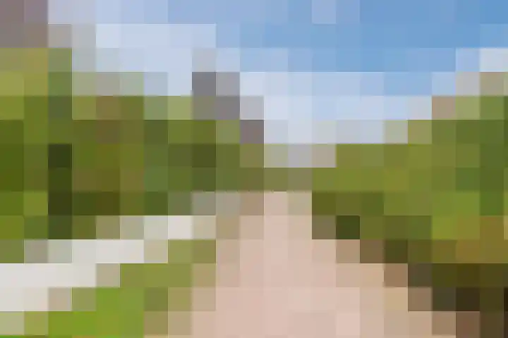 Wendakker 39 Heerde thumbnail 40