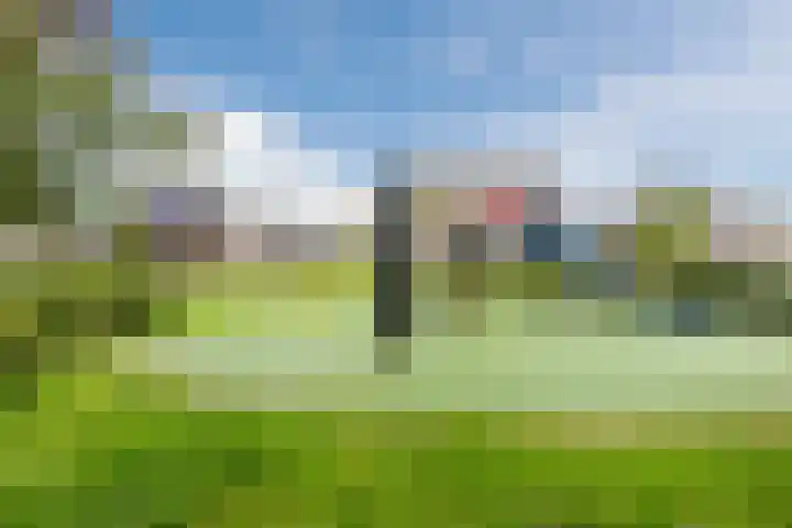 Wendakker 39 Heerde thumbnail 41