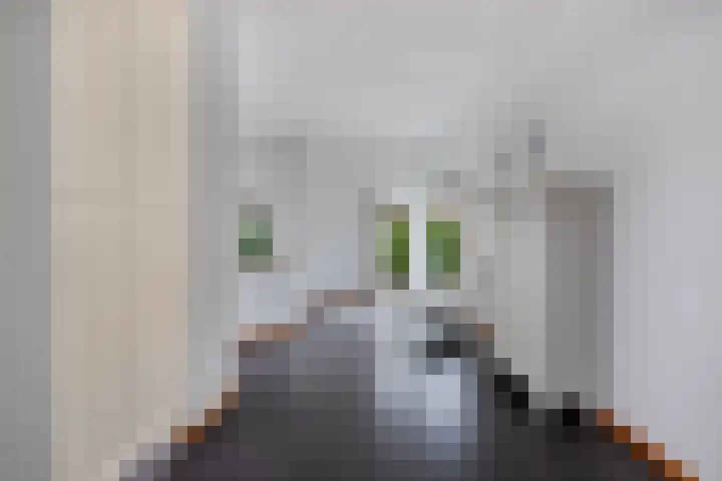 Wendakker 40 Nagele thumbnail 29