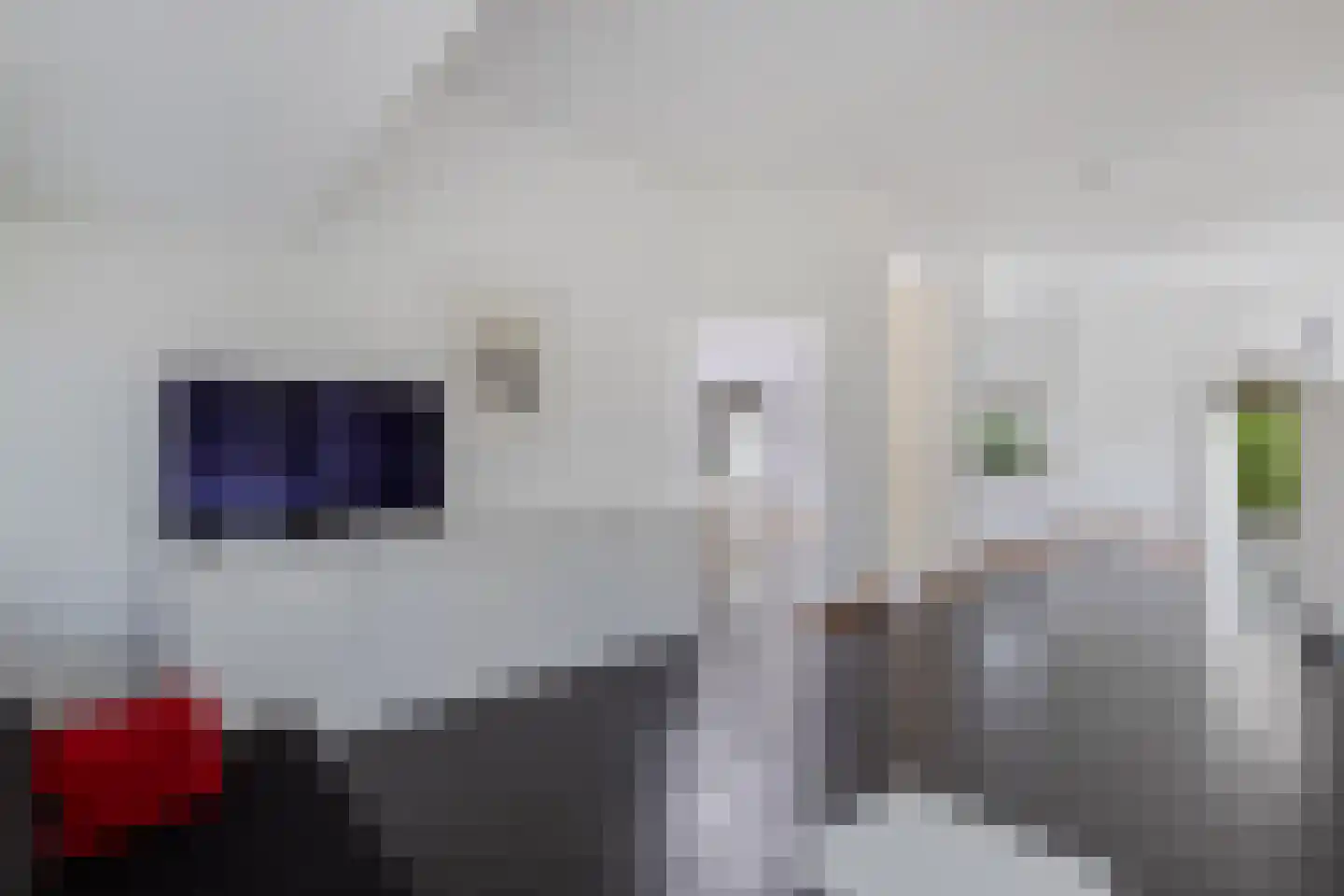 Wendakker 40 Nagele thumbnail 4