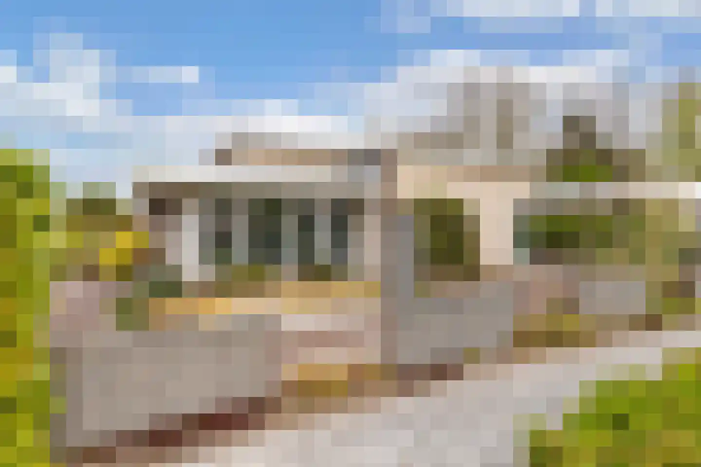 Wendakker 40 Nagele thumbnail 49