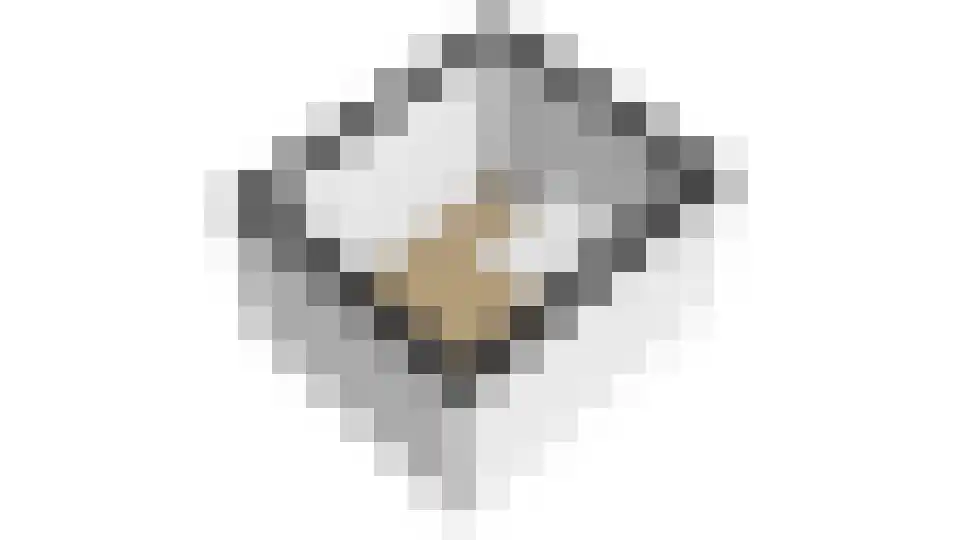 Wendakker 40 Nagele thumbnail 66