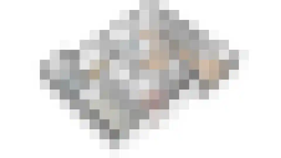 Wendakker 40 Nagele thumbnail 67