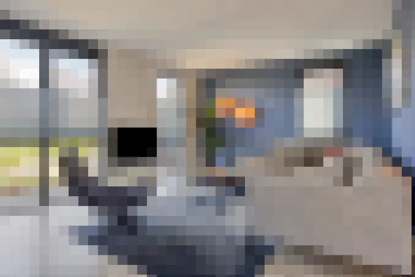 Wendakker 49 Heerde thumbnail 11