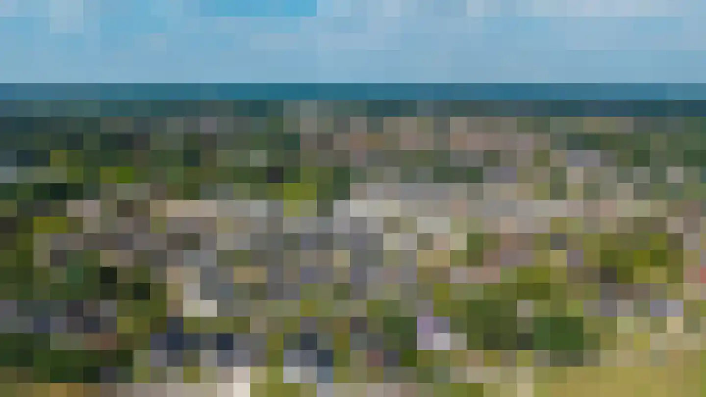 Wendakker 49 Heerde thumbnail 4