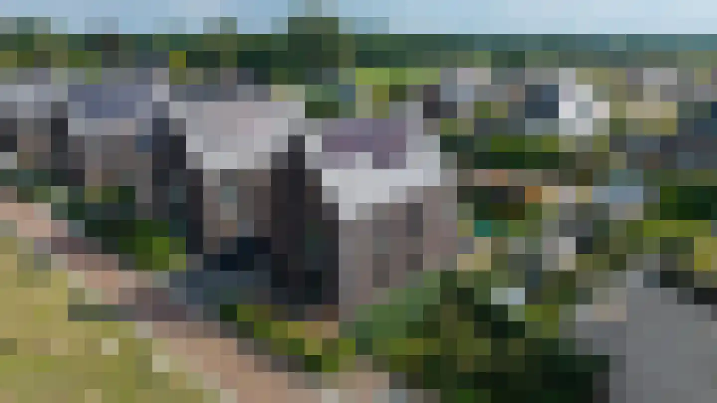 Wendakker 49 Heerde thumbnail 43