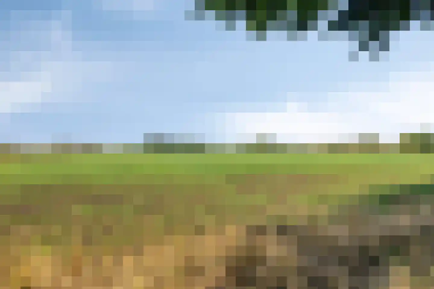 Wendakker 49 Heerde thumbnail 50