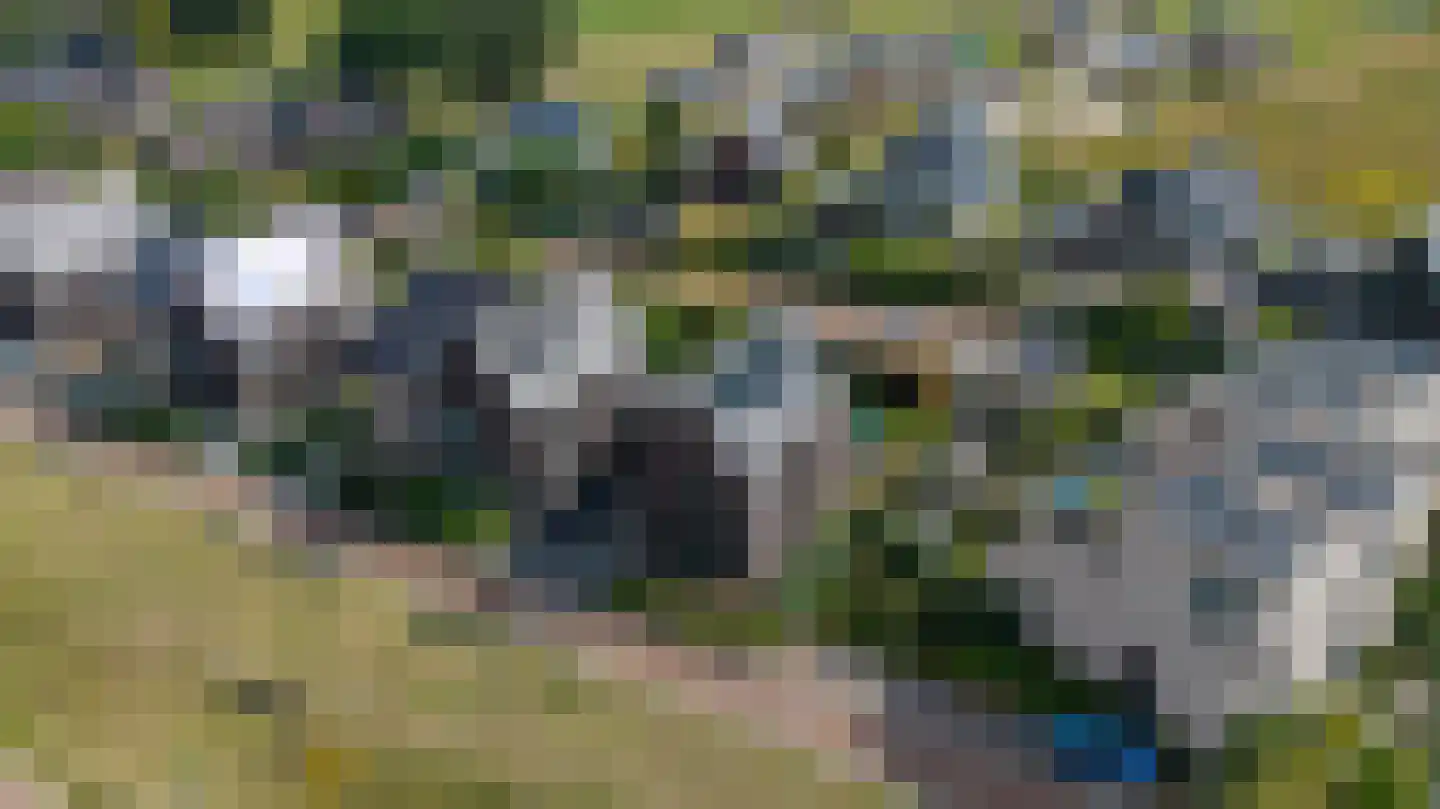Wendakker 49 Heerde thumbnail 52