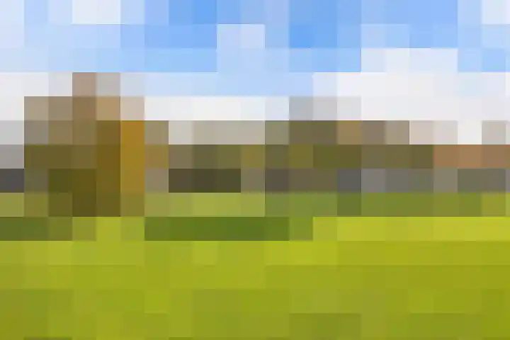 Wendakker 5 Nagele thumbnail 10