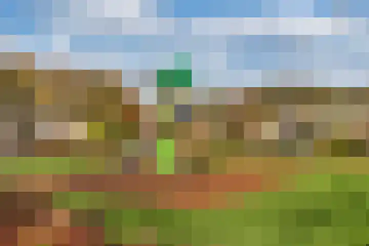 Wendakker 5 Nagele thumbnail 11