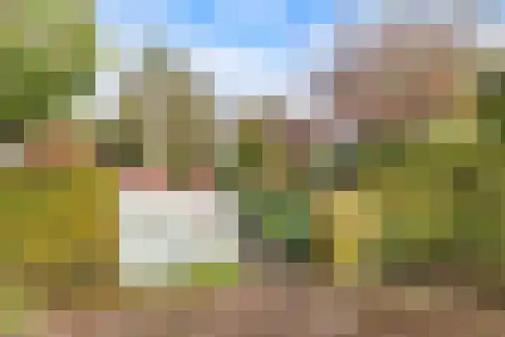 Wendakker 5 Nagele thumbnail 12